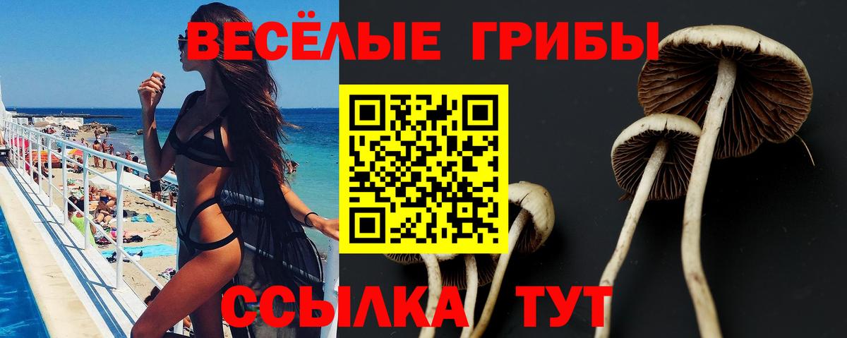 Усть-Илимск  Галлюциногенные грибы мицелий  Вход с VPN 